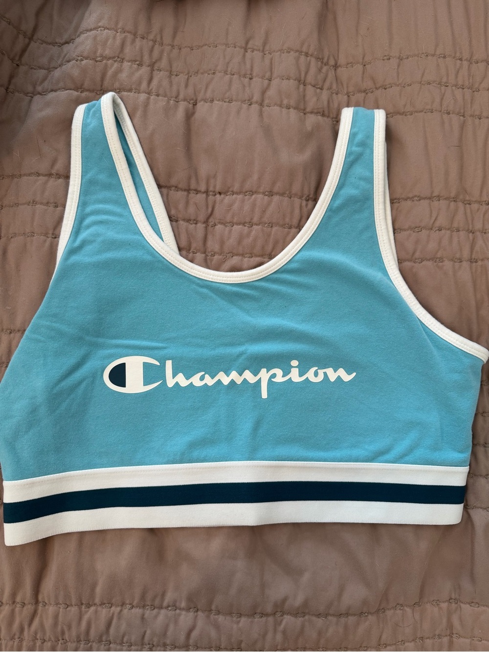 Champion Aqua Blue Logo Sports Crop Bra with Navy Striped Band